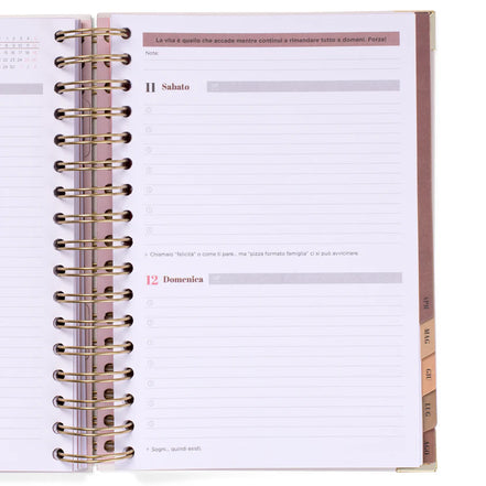 Diario office 2025/2026 - Mr Wonderful