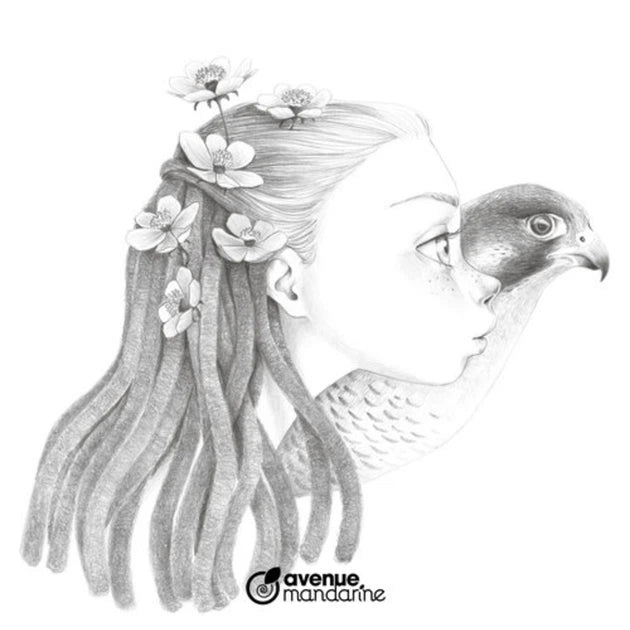 Colouring Book Wild 4 Avenue Mandarine - Creatività per tutta la famiglia