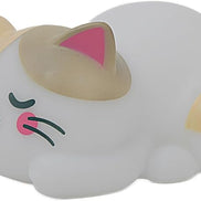 Luce notturna gatto - Mr Wonderful