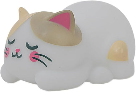 Luce notturna gatto - Mr Wonderful