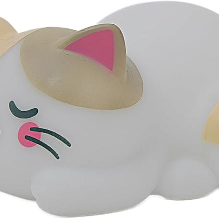 Luce notturna gatto - Mr Wonderful