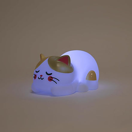 Luce notturna gatto - Mr Wonderful