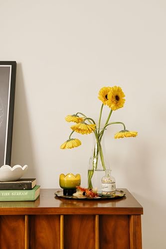 Candela Profumata Tulipano Verbana e Citronella - PaddyWax