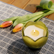 Candela Profumata Tulipano Verbana e Citronella - PaddyWax