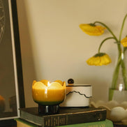 Candela Profumata Tulipano Bronzed Gardenia - PaddyWax