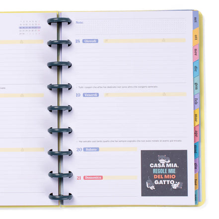Diario Wonder 2025/2026 - Mr Wonderful