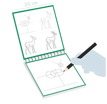 Graffy Learn Natura Avenue Mandarine - Impara a disegnare la natura divertendoti