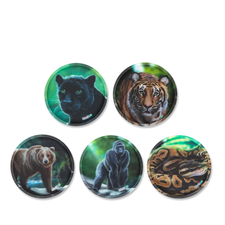 Klettie Set Jungle Ergobag - Personalizza il tuo zaino