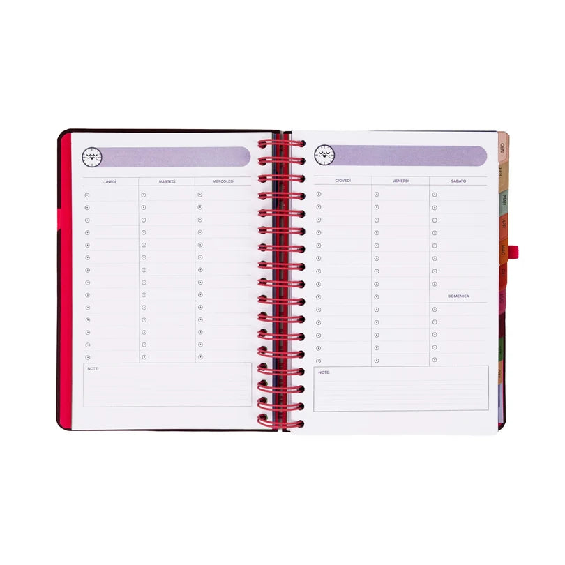 Agenda Classic Wonder 2027 Giornaliera Full Aesthetic - Mr Wonderful