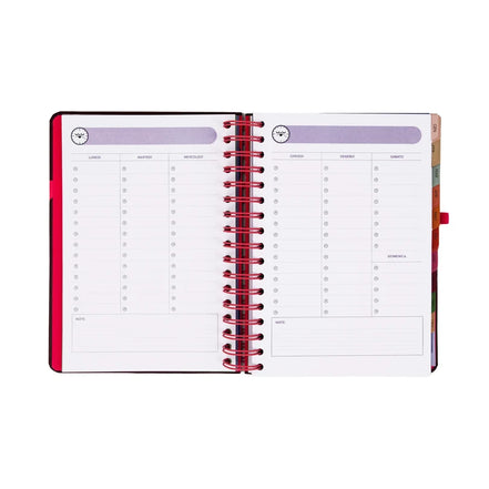 Agenda Classic Wonder 2027 Giornaliera Full Aesthetic - Mr Wonderful