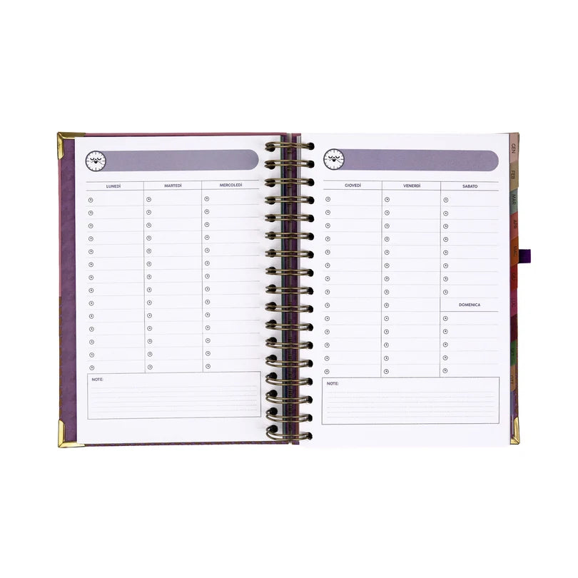 Agenda Classic Wonder 2027 Giornaliera Ordinata Quasi per Scelta - Mr Wonderful
