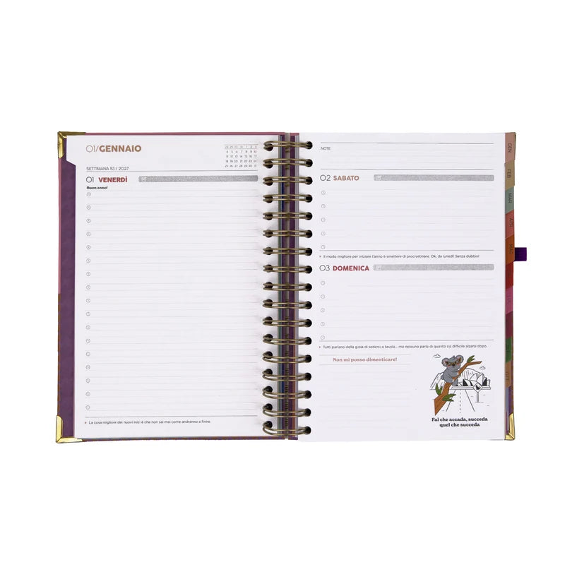 Agenda Classic Wonder 2027 Giornaliera Ordinata Quasi per Scelta - Mr Wonderful