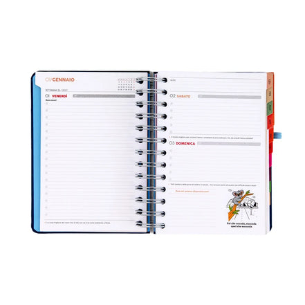 Agenda Classic Wonder 2027 Giornaliera PICCOLA Piani per oggi Capolavori per Domani - Mr Wonderful
