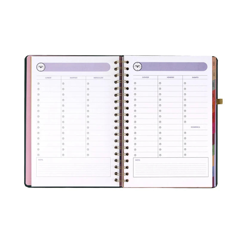 Agenda Classic Wonder 2027 Settimanale XL Il viaggio Continua - Mr Wonderful
