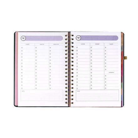 Agenda Classic Wonder 2027 Settimanale XL Il viaggio Continua - Mr Wonderful