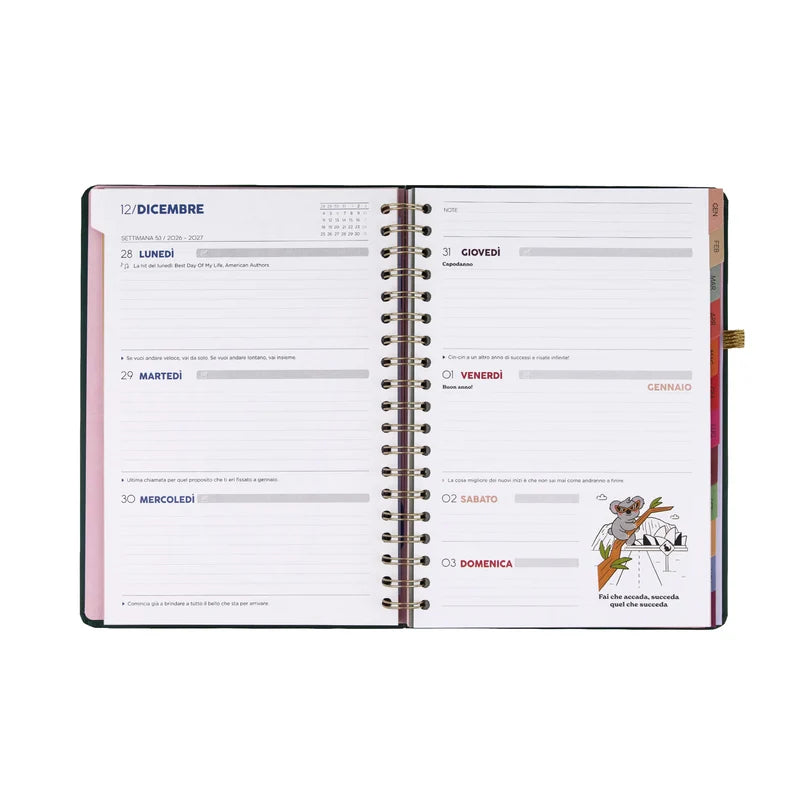 Agenda Classic Wonder 2027 Settimanale XL Il viaggio Continua - Mr Wonderful